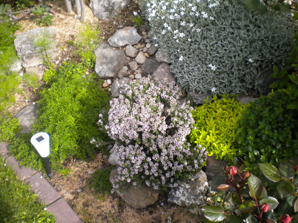 Garten der Kräuter | Kräuter und mehr